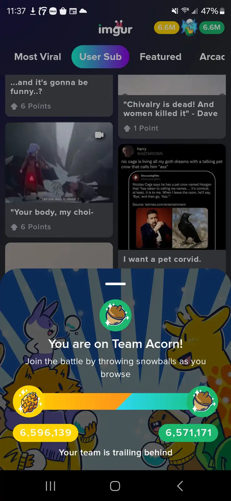 The image shows an Imgur app interface with a 'Team Acorn' battle overlay. Two cartoon animals, a purple rabbit and a yellow…