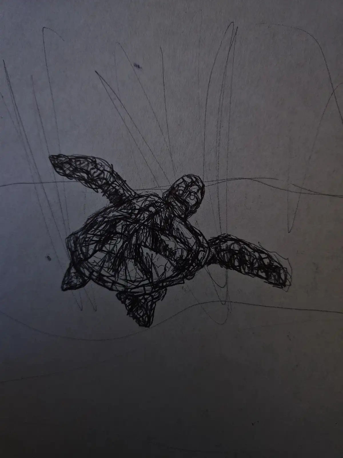 A rough, scribbled pencil drawing of a sea turtle on gray paper, with chaotic lines forming its shell and flippers…