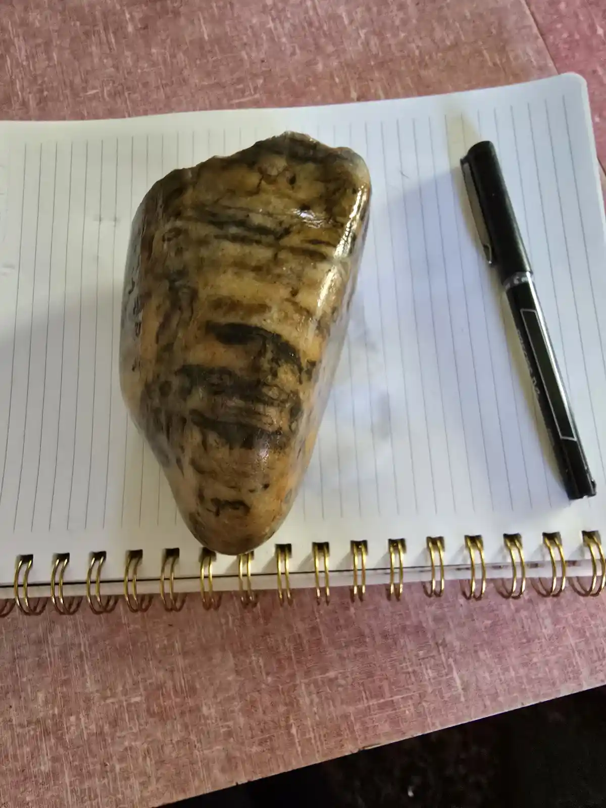 An Interesting Rock Unearthed in a Connecticut River