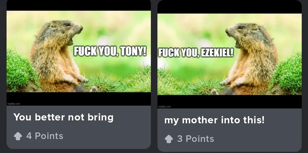 Two side-by-side images show a groundhog yelling with text overlaid. The left image says 'FUCK YOU, TONY!' and the right…