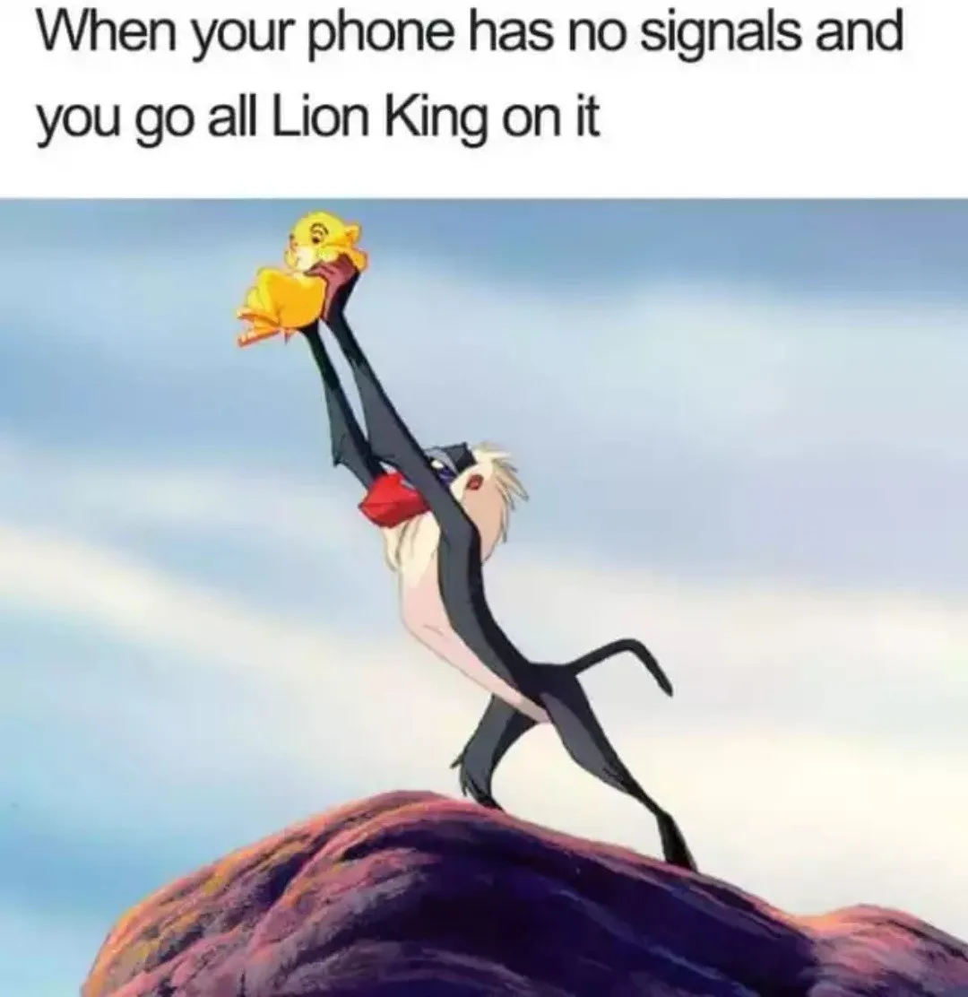 The Epic Rafiki Reception