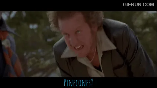 Are Those Pinecones I See?!