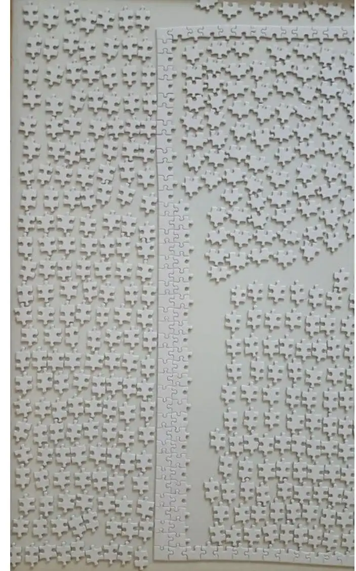 A challenging winter puzzle to solve