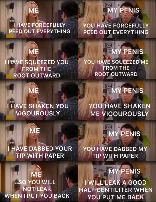 A six-panel meme using a scene from Friends where a woman and a man are facing each other. The woman is labeled 'ME' and the…