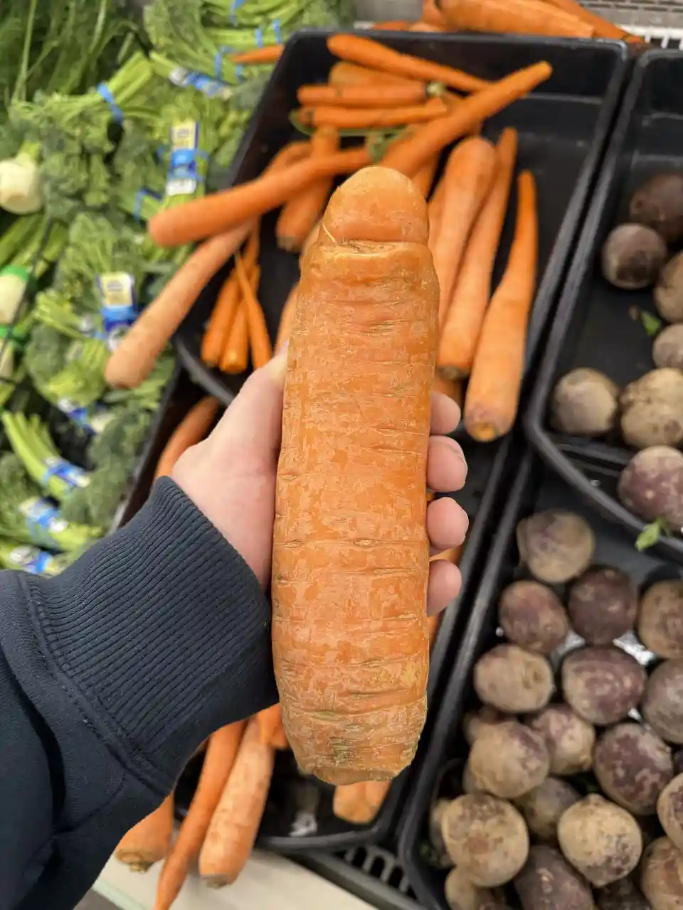 A hand holds up a large, unusually shaped orange carrot in a grocery store produce aisle, surrounded by bins of other…