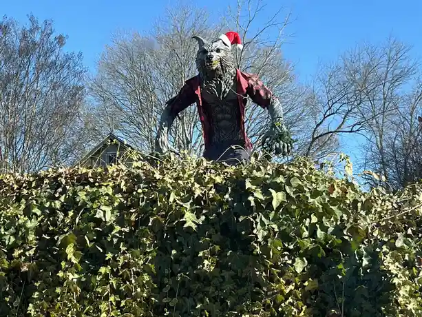 A large, menacing werewolf statue wearing a red and black plaid shirt and a red Santa hat emerges from a dense green hedge…