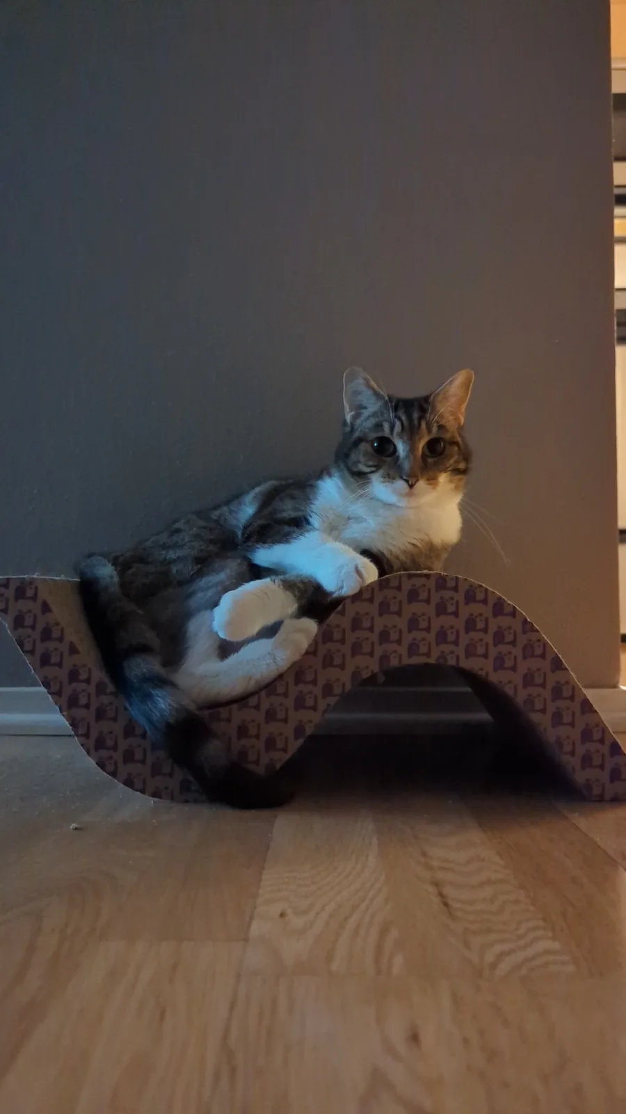 A Classic Phoebe Post: Just for You!