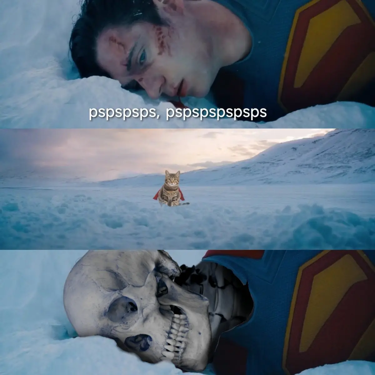 The meme features three panels: Superman lies injured in snow with text 'pspspsps, pspspspsps'; a cat wearing a red cape…