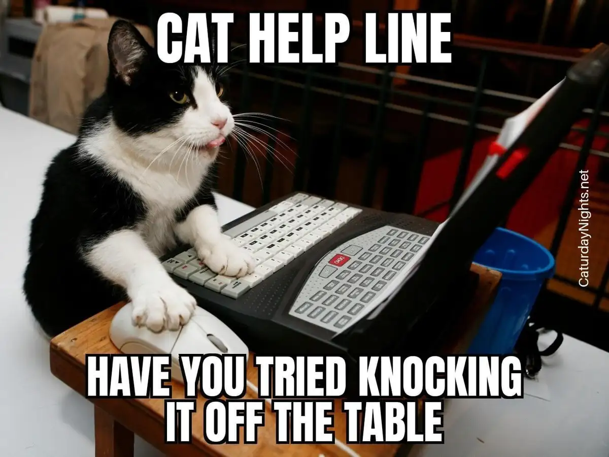 A black and white cat sits at a desk with a keyboard and mouse, appearing to work on a laptop. The image has bold white text…