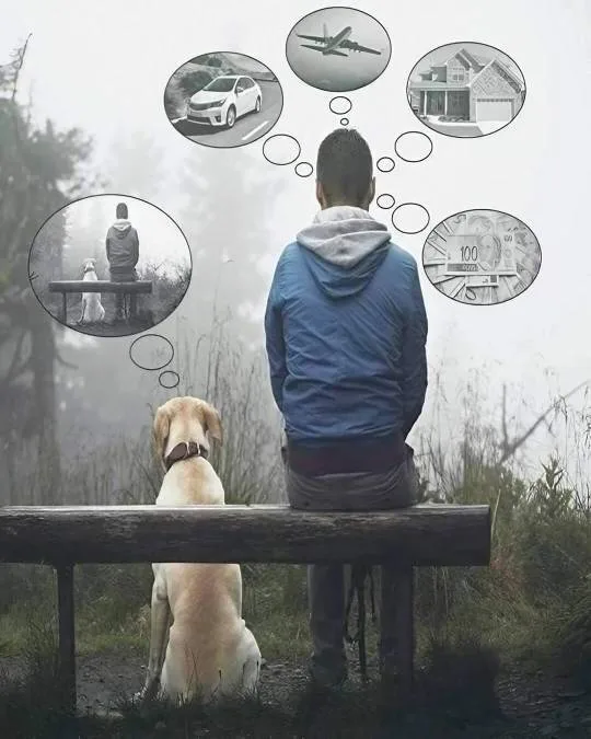 A person and a dog sit on a bench facing away from the camera, with thought bubbles above their heads showing a car, an…