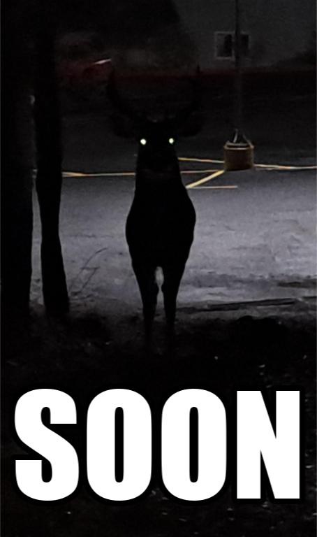 Coming Soon: Exciting Things Ahead