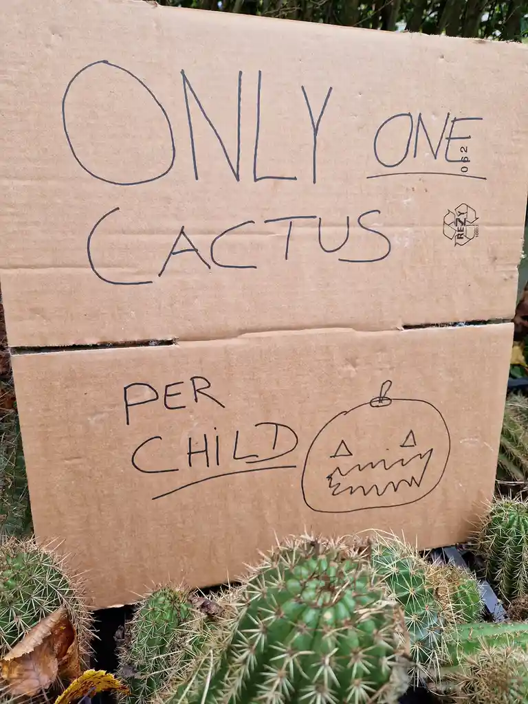 One Cactus for Every Child: A Unique Rule