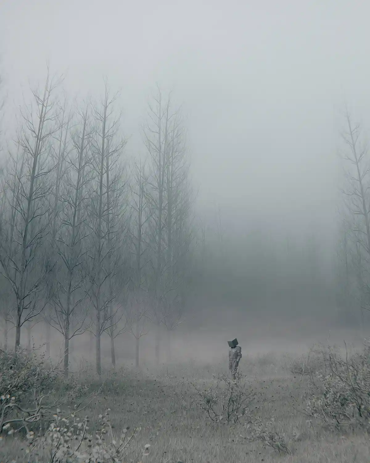 Navigating the Foggy Path Home, by Huleeb