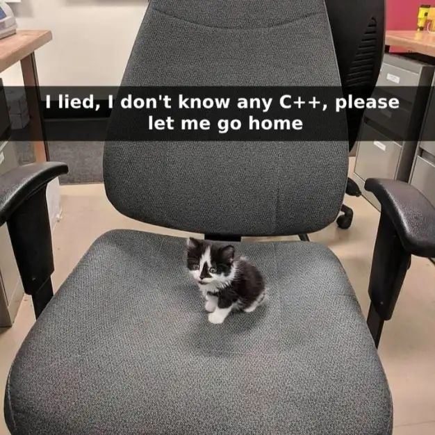 A small black and white kitten sits on the seat of a large grey office chair in an office environment. The kitten looks up…