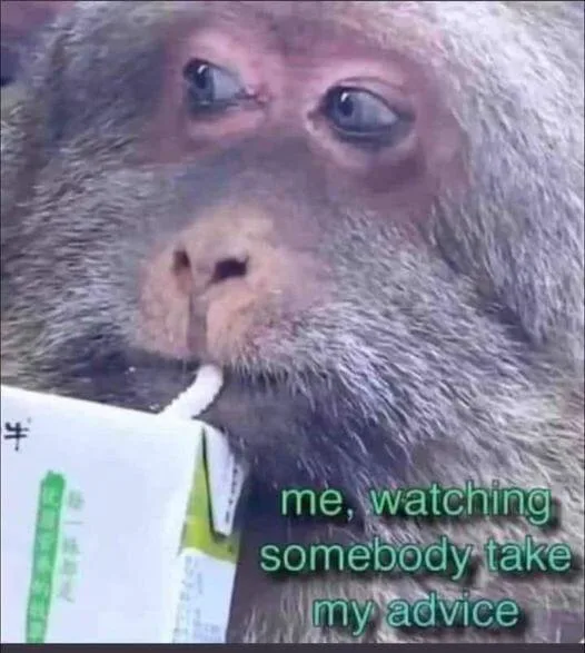 A close-up image of a monkey holding a white and green carton, looking sideways with a skeptical or unimpressed expression…