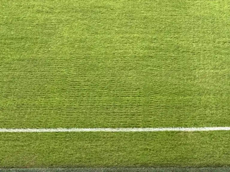 Exploring the TQL turf like a pro