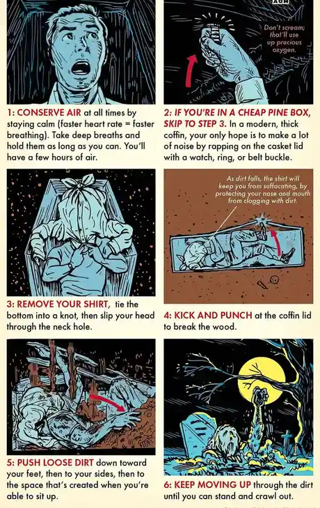 Echoes in Your Head: The Catchy Tune That Sticks