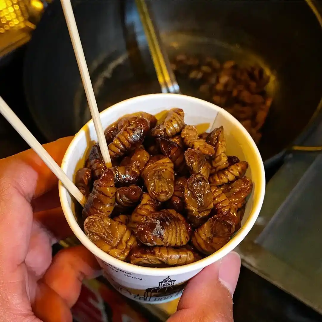 A hand holds a white paper cup filled with fried, brown, segmented insect larvae, likely蚕蛹 (silkworm pupae), with chopsticks…