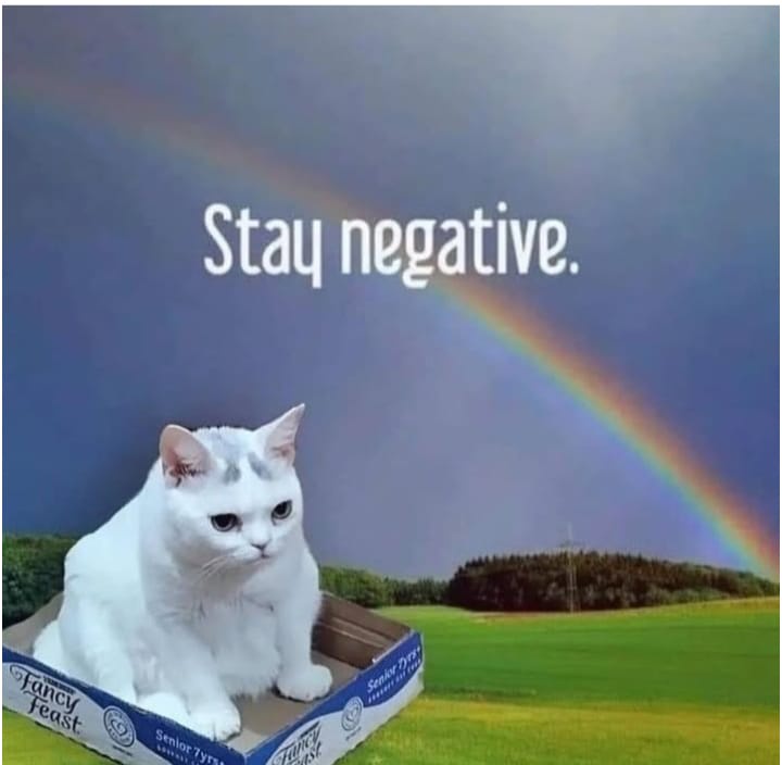 A white cat with a grumpy expression sits inside an open 'Fancy Feast Senior' cat food box placed on a grassy field. Behind…