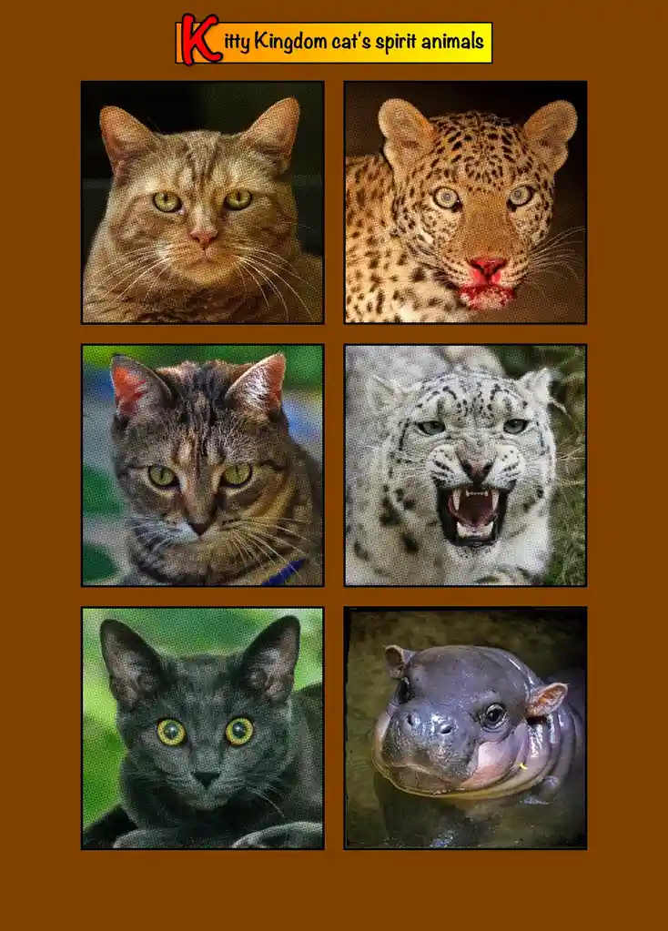 The image displays a grid of six animal photos: three domestic cats and three wild animals (a leopard, a snow leopard, and a…