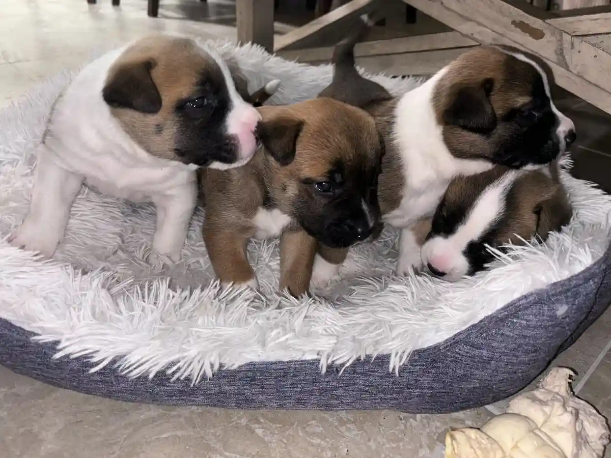 Ruby just became a mom!