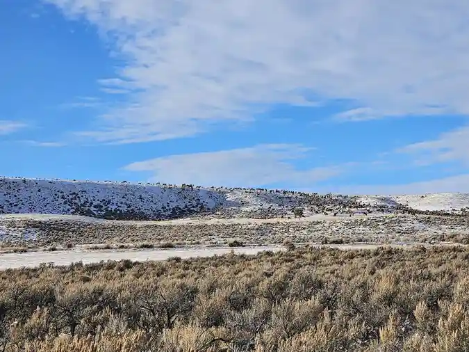 A wide landscape photo shows a snowy, arid hillside under a blue sky with scattered clouds. A large herd of dark-colored…