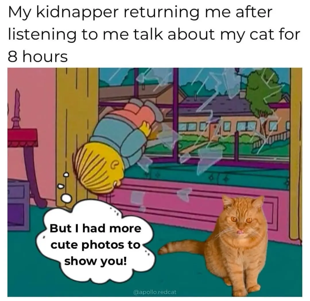A cartoon image shows a child falling through a broken window while an orange tabby cat sits calmly on the floor. The cat…