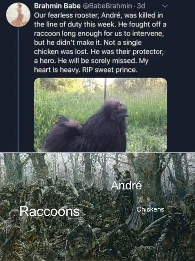 Great job, Andre! You nailed it!