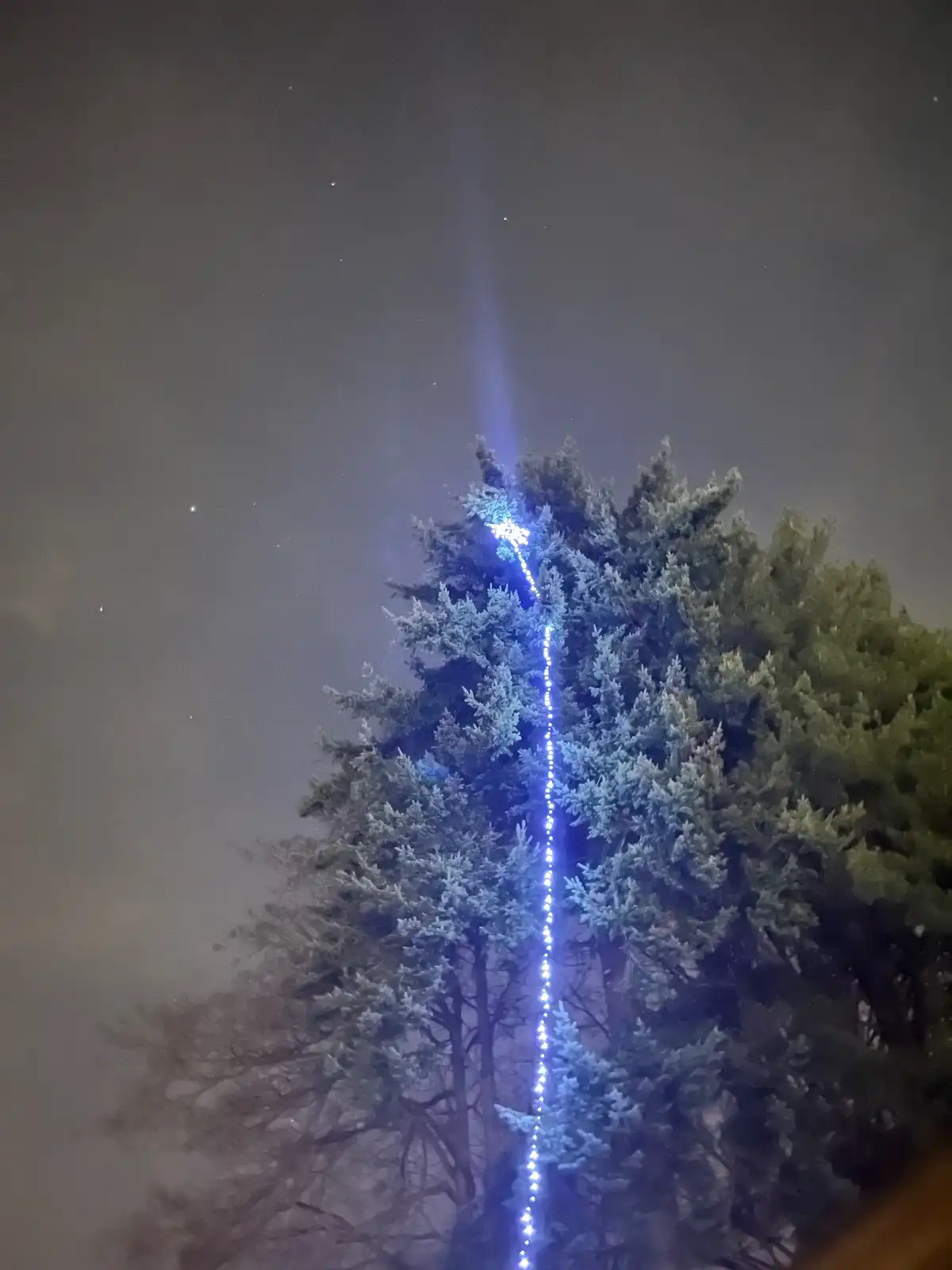 Need Ideas for Lifting a Star Up a 120-Foot Tree?