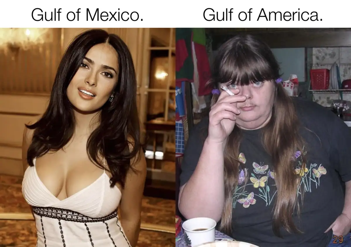 The image is a split-screen meme. On the left, a woman with long dark hair, wearing a white dress, is labeled 'Gulf of…