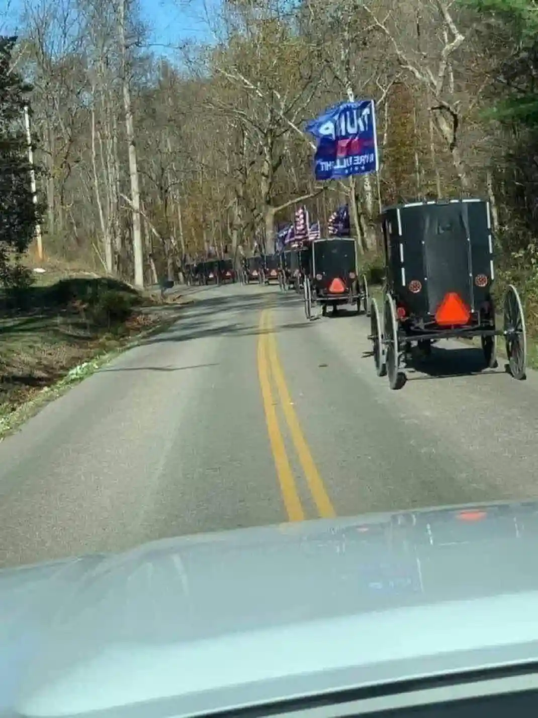 A line of black Amish-style buggies drives down a rural road, each adorned with blue Trump 2024 campaign flags. The photo is…