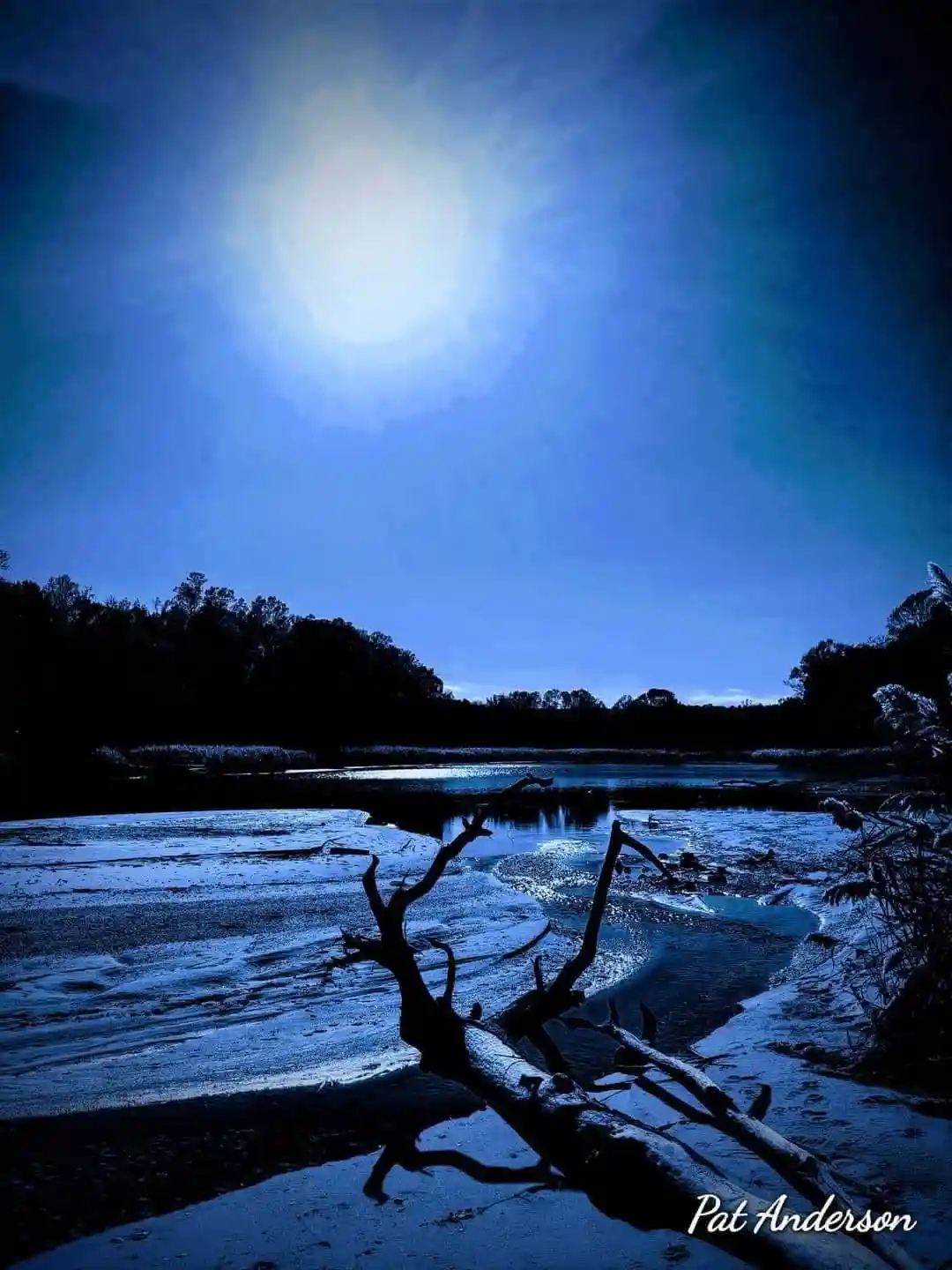 A Serene Evening Vibe