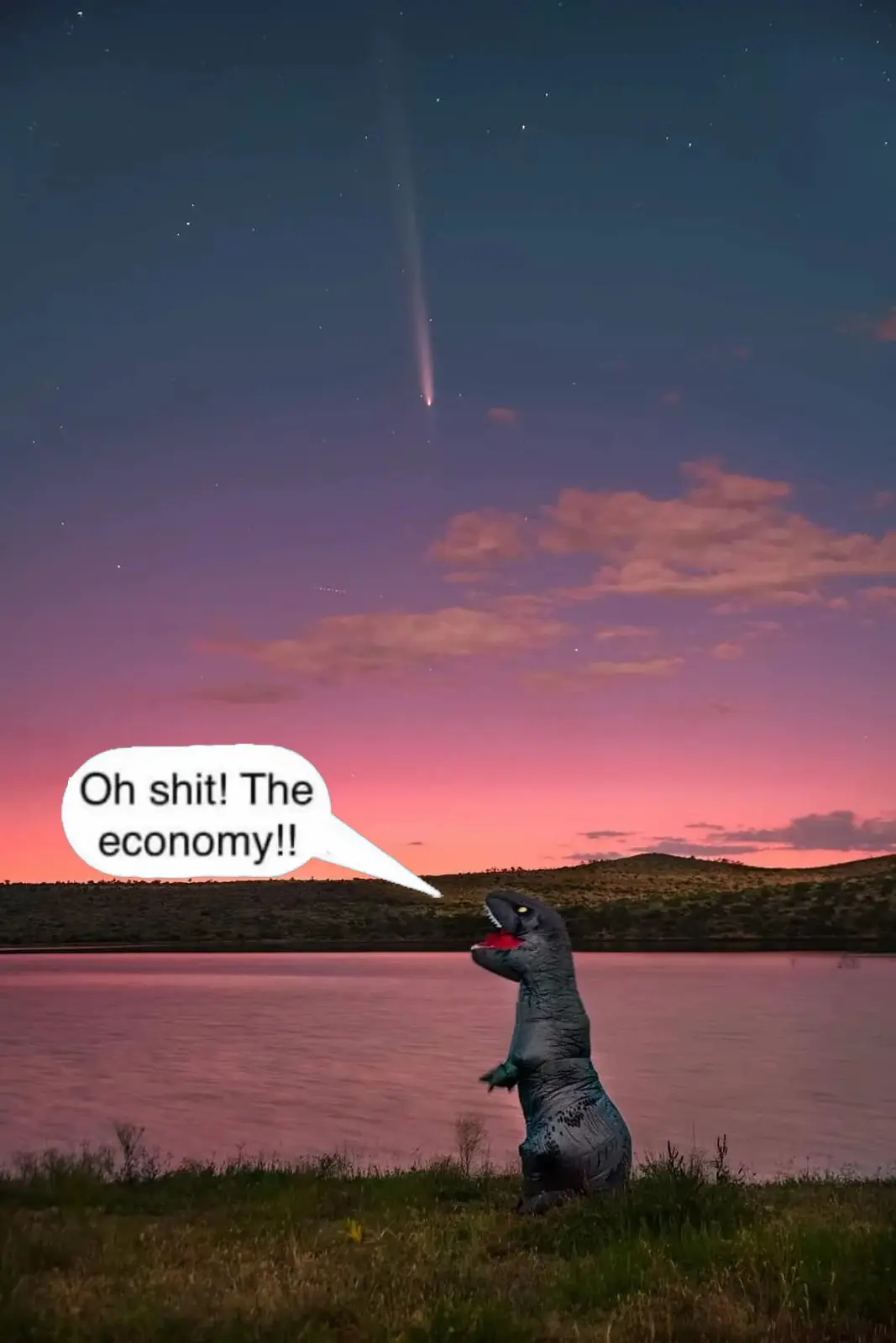 A person in a grey inflatable dinosaur costume stands on grass near a lake at twilight, looking up at a comet streaking…