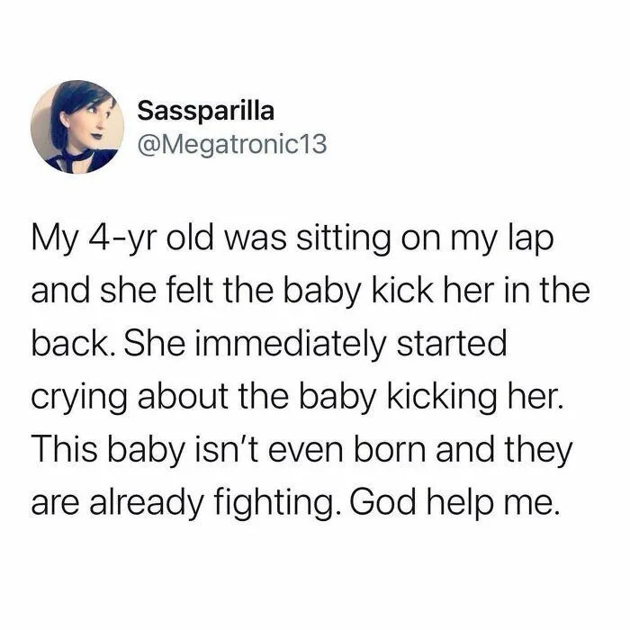 A screenshot of a tweet from user Sasssparilla (@Megatronic13) showing a white background with black text. The text recounts…