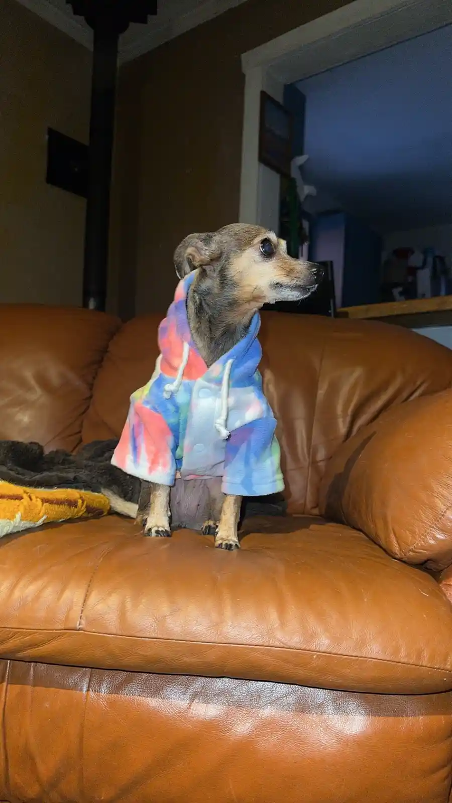 Gretch Rocking Her Adorable Hoodie!