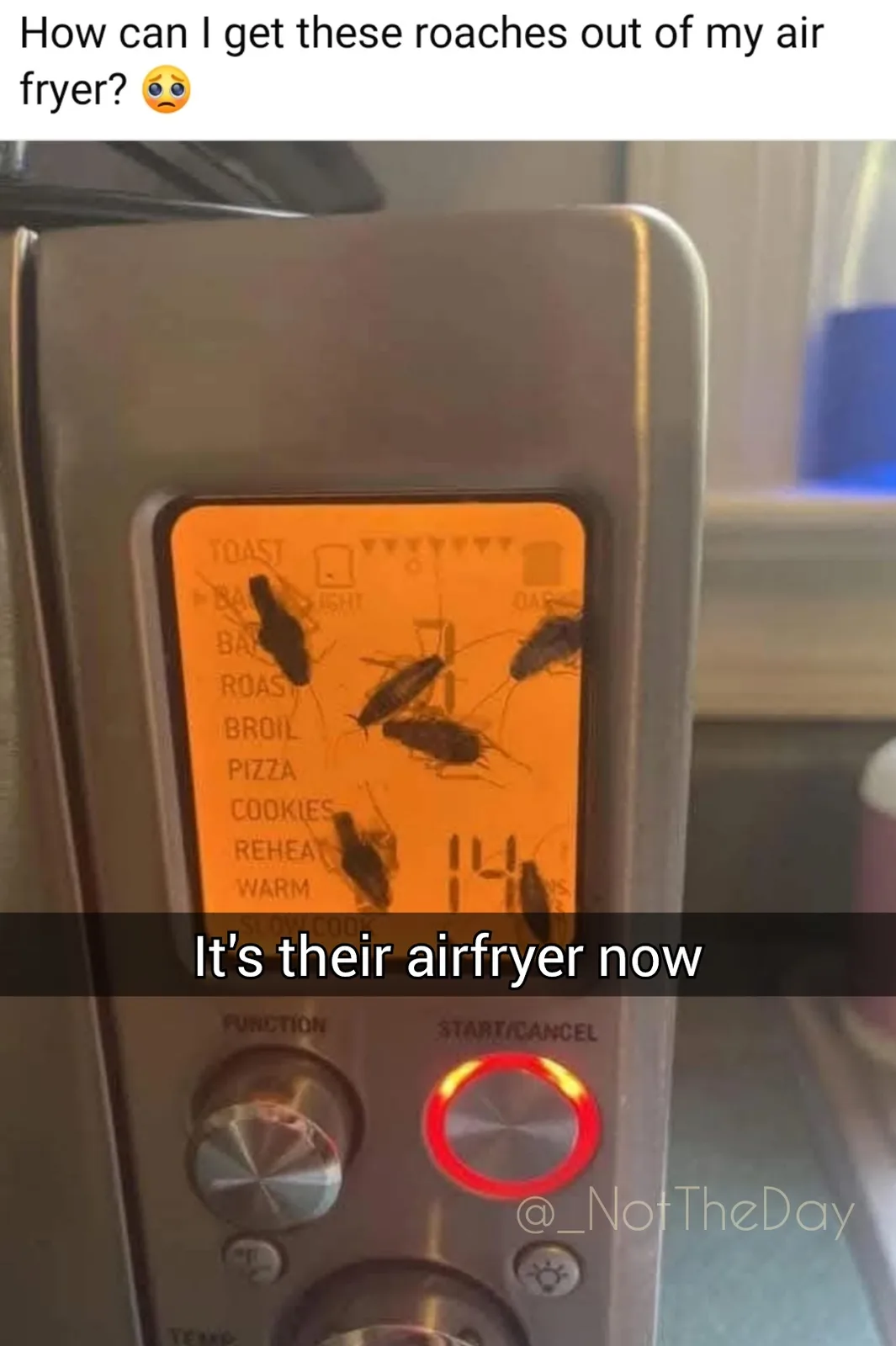 A close-up photo shows cockroaches crawling all over the illuminated orange digital display of an air fryer, which lists…