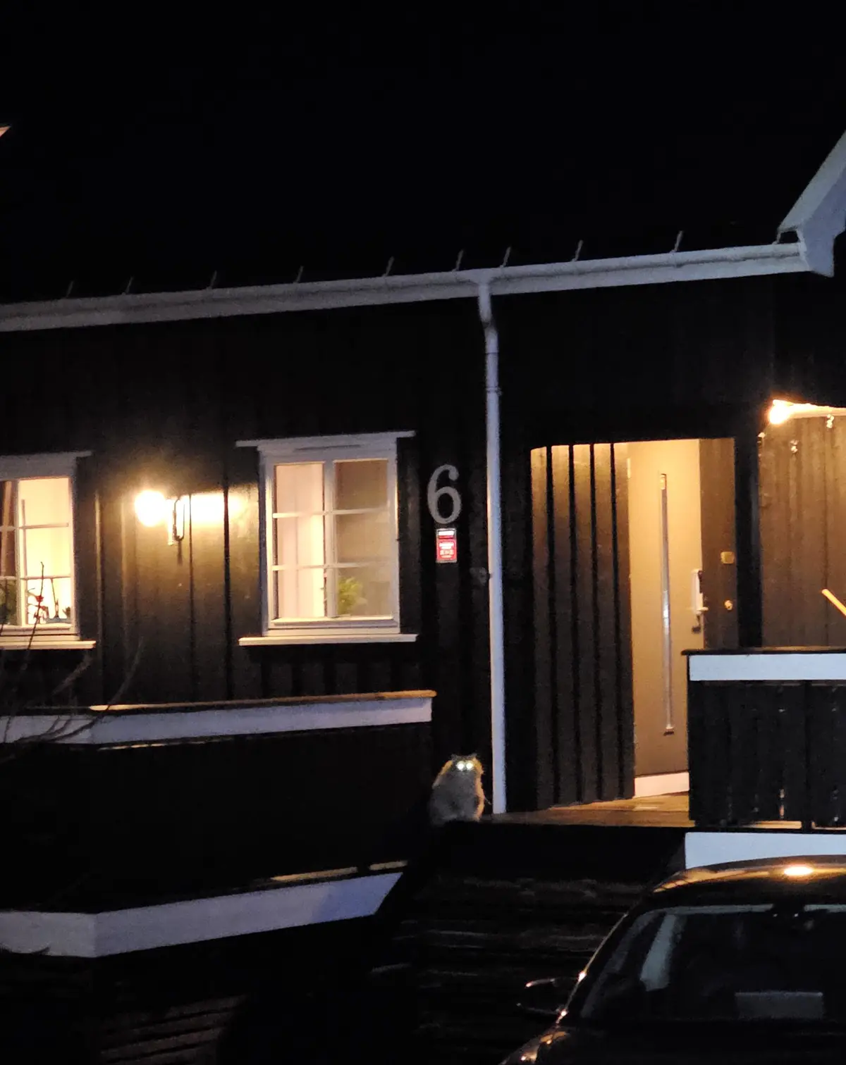 A nighttime photo of a dark wooden house with a lit window and door, number 6 visible. A small, fluffy cat sits on the…