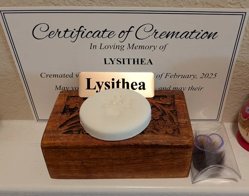A wooden box holds a white soap bar with a paw print, positioned in front of a 'Certificate of Cremation' for 'LYSITHEA'. A…