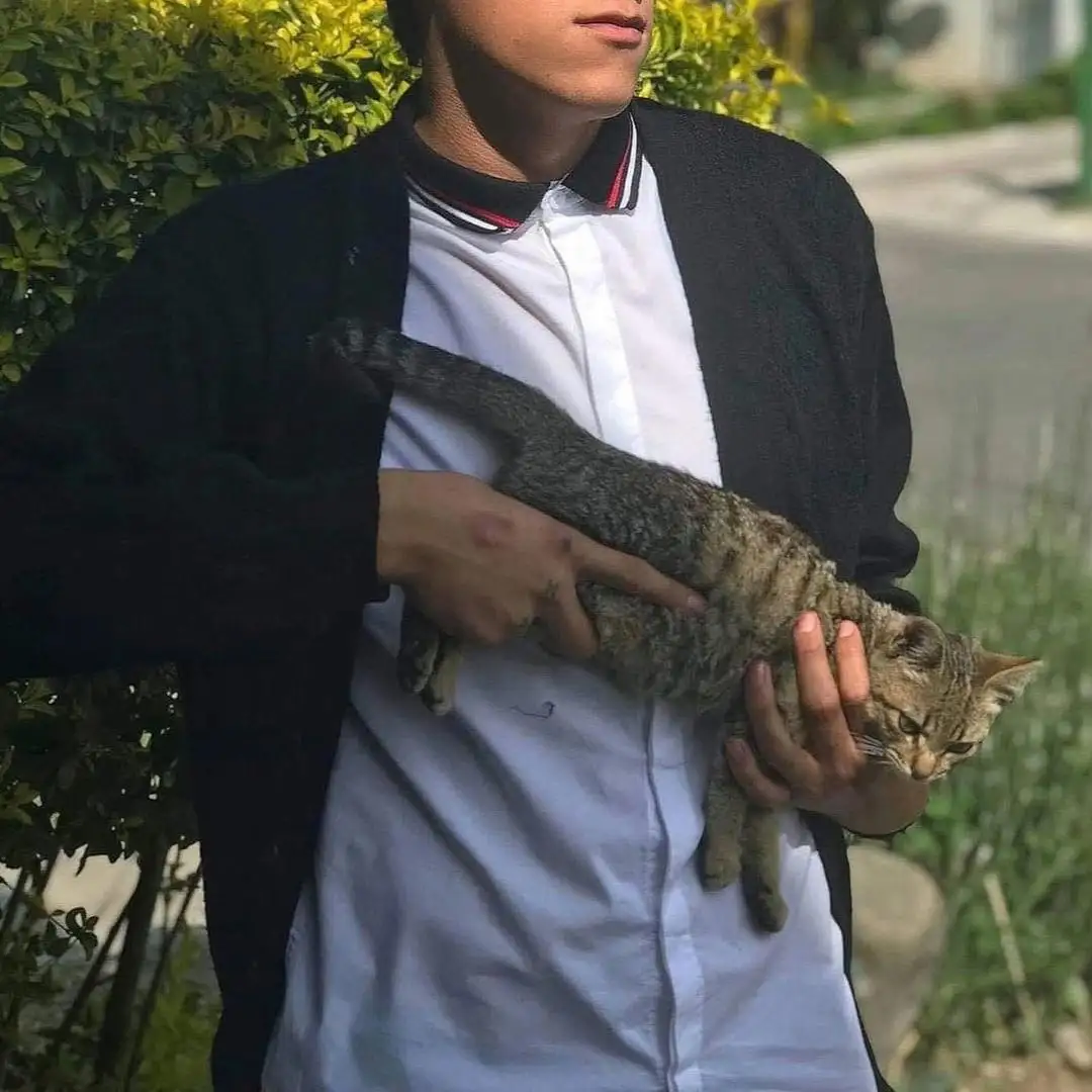 A young person wearing a white collared shirt and black cardigan holds a tabby cat across their chest. The cat looks…