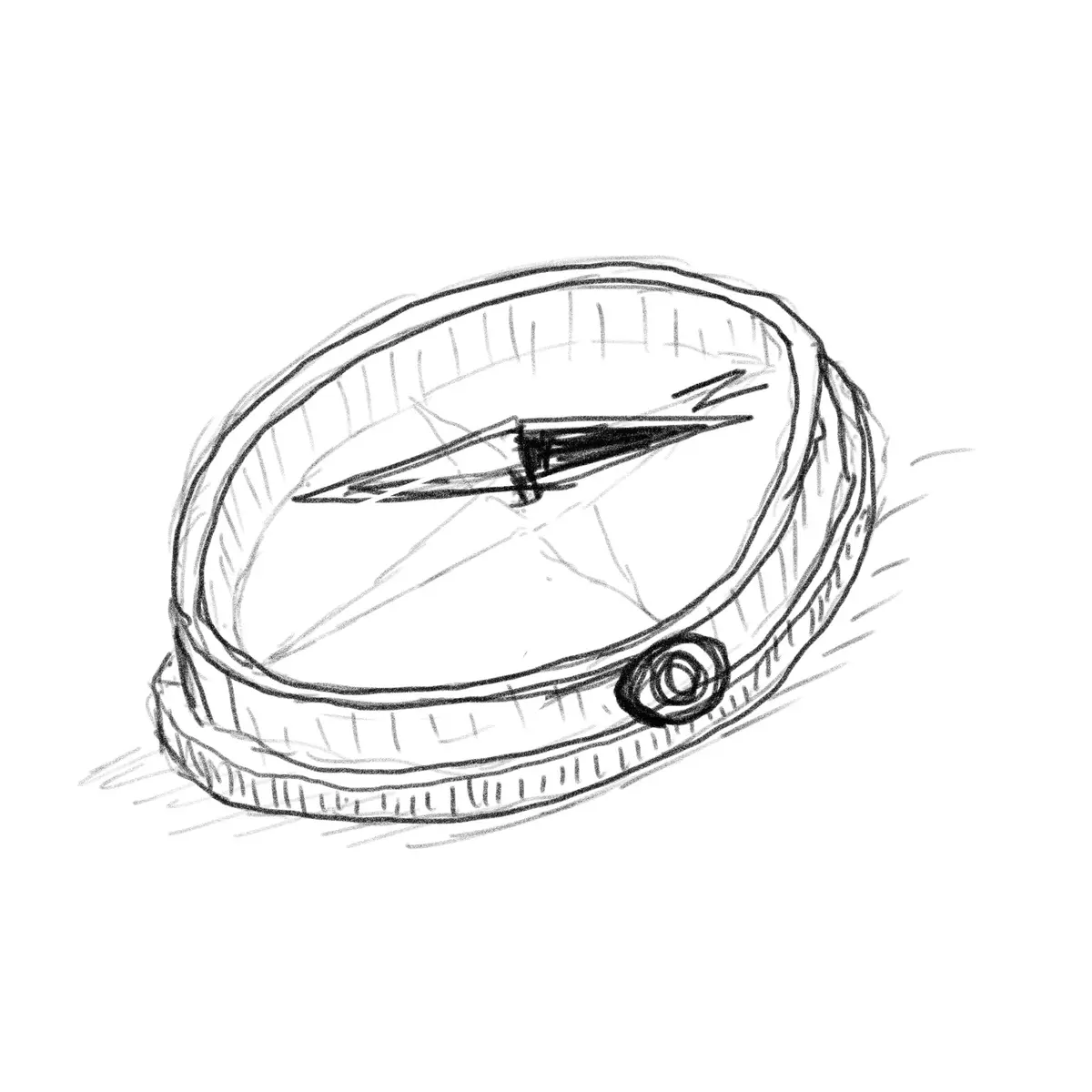 Navigating Life with a Compass