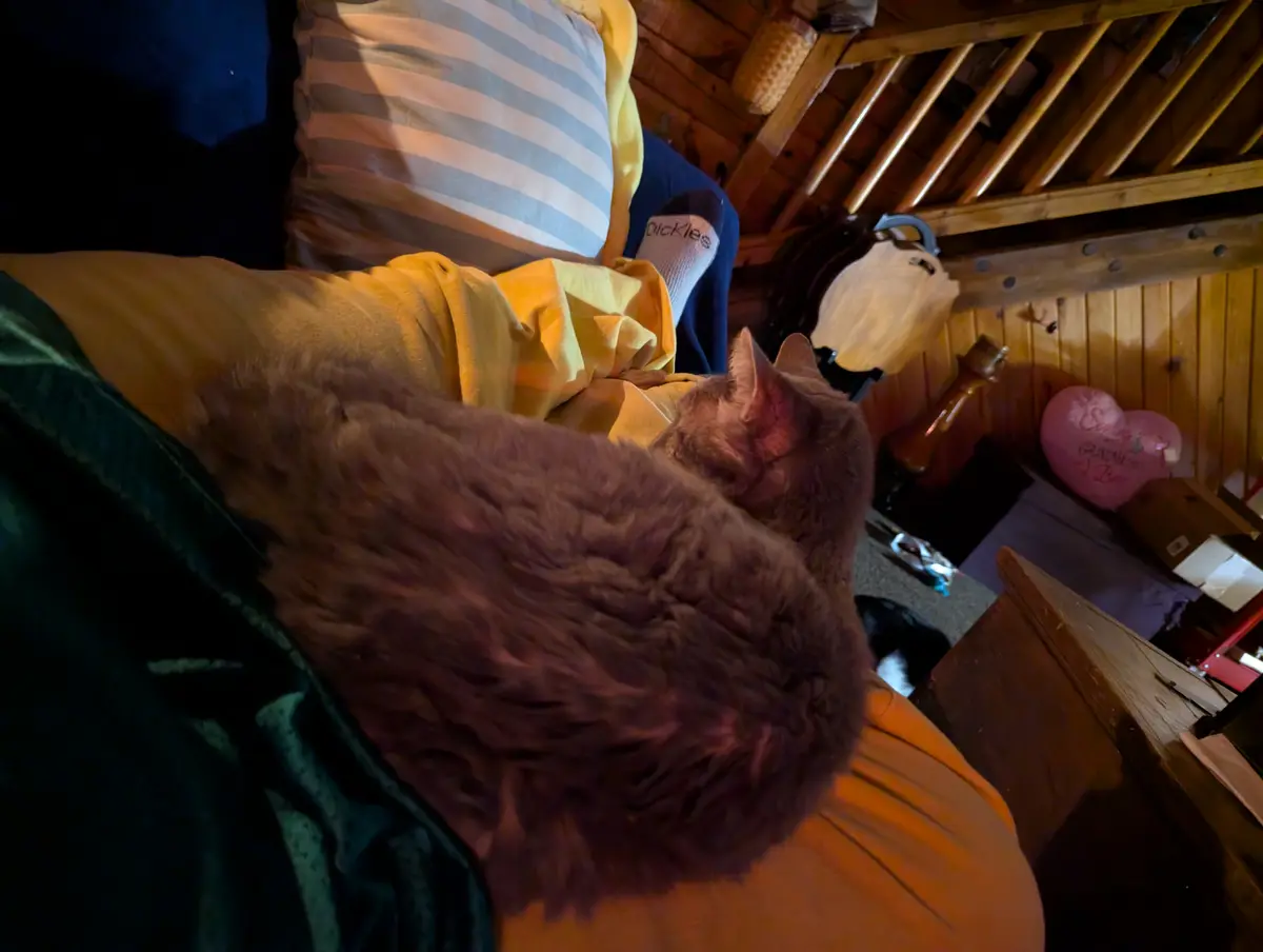 A fluffy brown cat is curled up and sleeping soundly on a person's lap, who is wearing yellow pants and a sock with…