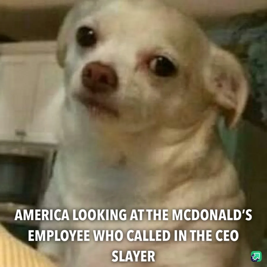 A blurry, close-up photo of a light-colored chihuahua with large, wide eyes and a slightly open mouth, looking upward. The…