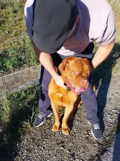 Just a Puppy Being Adorable...