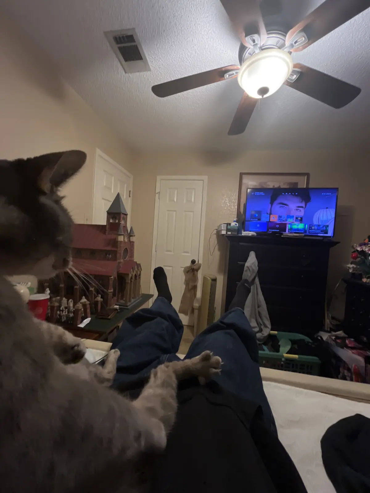 A first-person view from a bed shows a person's legs in jeans and socks, with a grey cat in the foreground. The room has a…