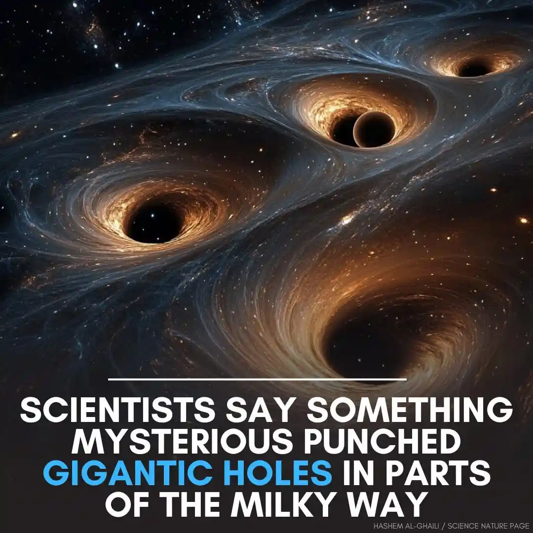 Definitely Not Black Holes