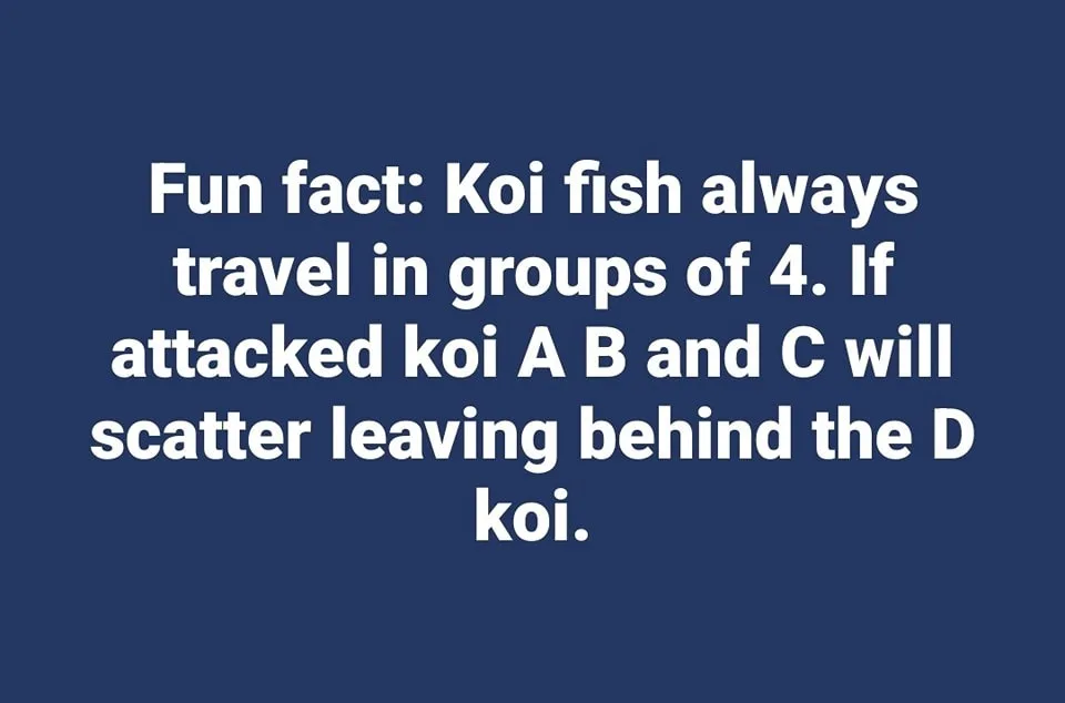 Now You’re In the Know