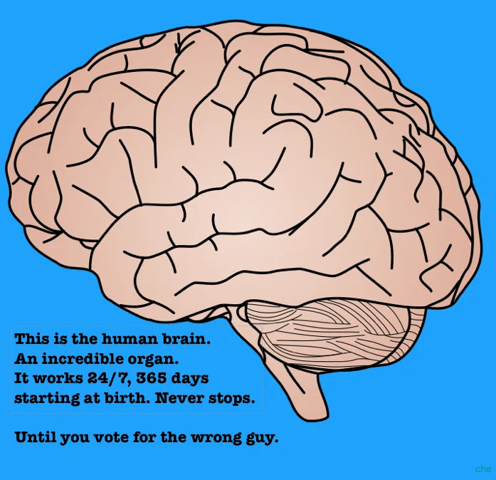 A cartoon illustration of a human brain against a solid blue background. Text overlaid in a black box reads: 'This is the…