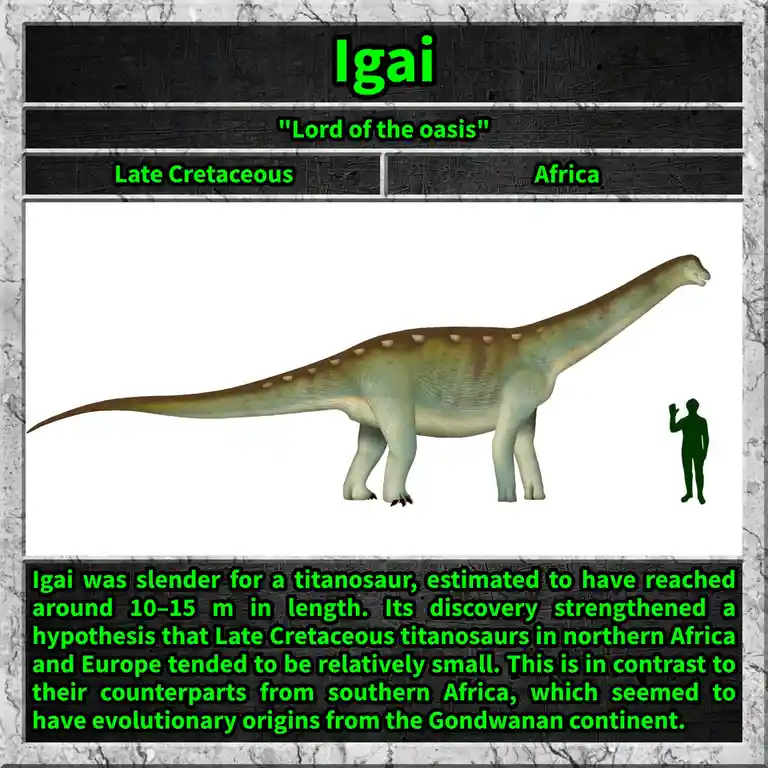The image displays a digital illustration of a long-necked, slender dinosaur named Igai, with a human silhouette for scale…