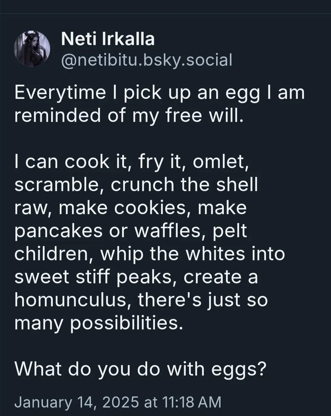 A screenshot of a social media post by 'Neti Irkalla' with a dark background and white text. The post humorously lists…