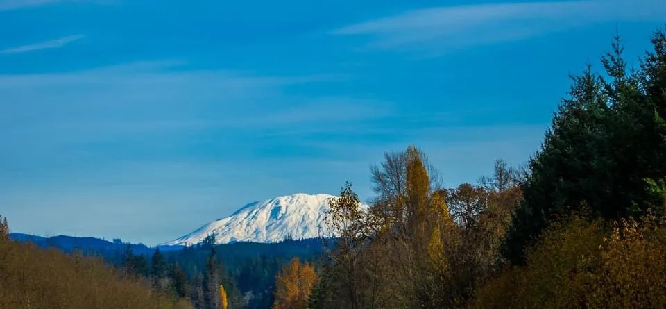 A Winter Wonderland: Snow-Covered Scenes